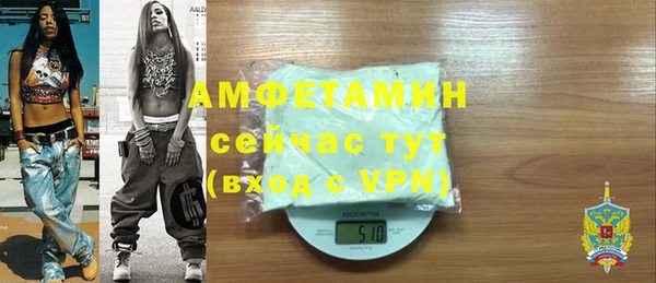 твердый Арсеньев
