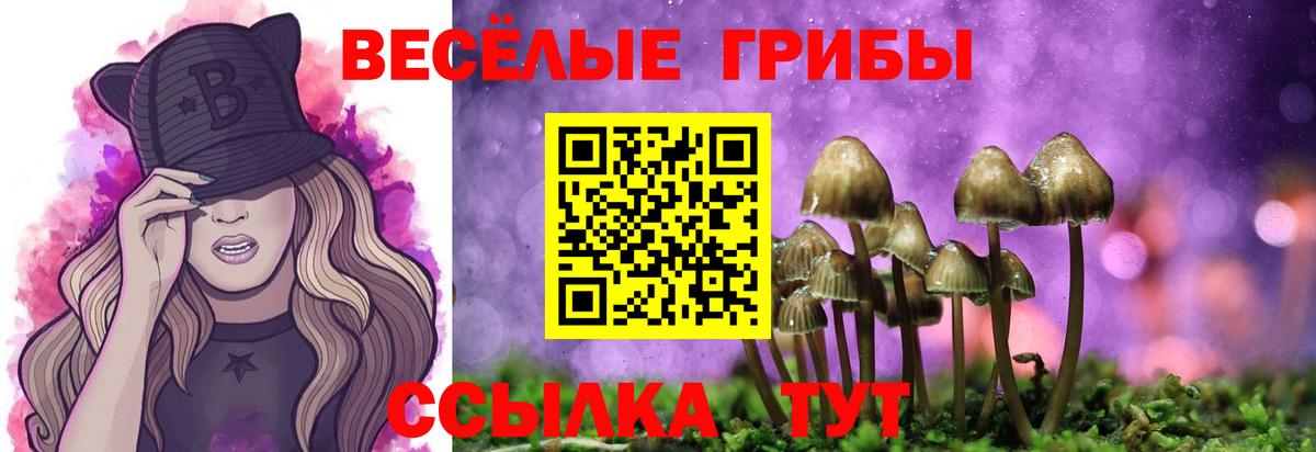 Галлюциногенные грибы Psilocybe Строитель