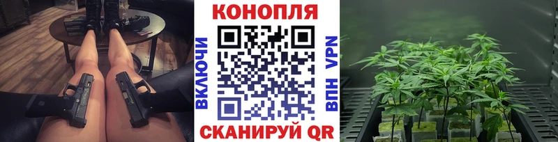 купить   Строитель  Бошки марихуана OG Kush 