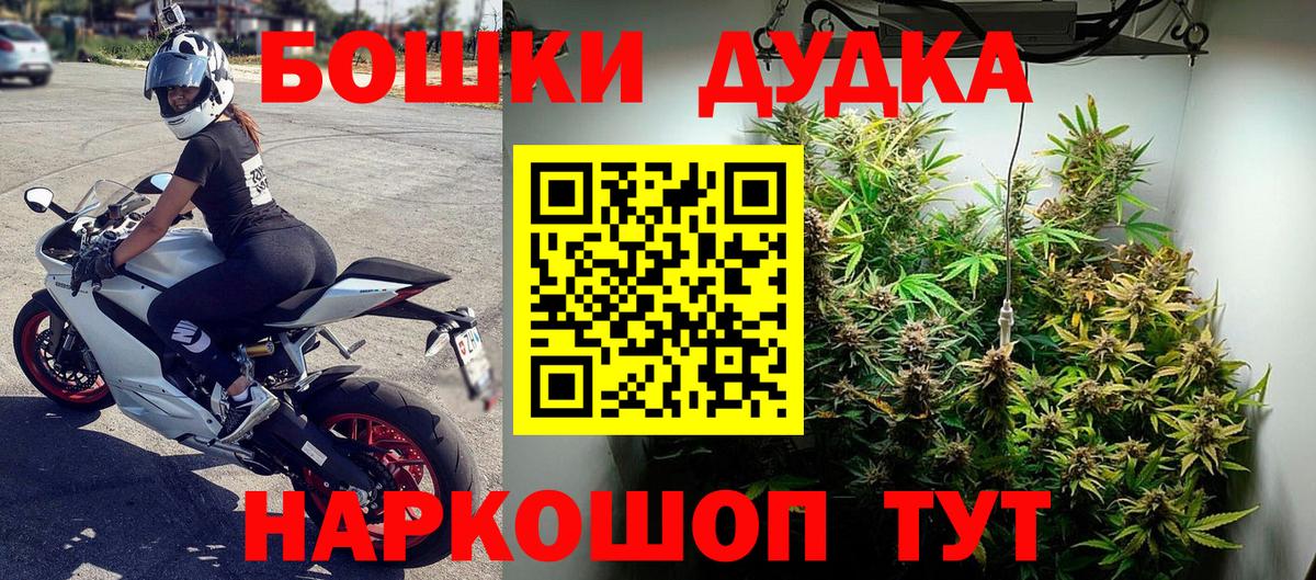 Канабис планчик Строитель